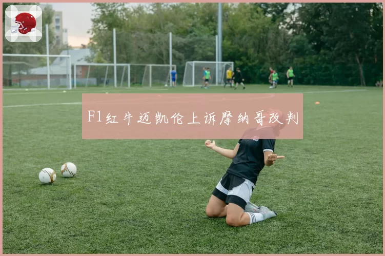 F1红牛迈凯伦上诉摩纳哥改判