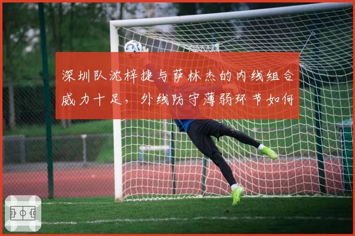 深圳队沈梓捷与萨林杰的内线组合威力十足,外线防守薄弱环节如何弥补?