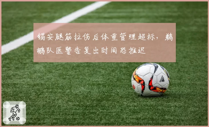 锡安腿筋拉伤后体重管理超标，鹈鹕队医警告复出时间恐推迟