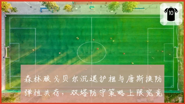 森林狼戈贝尔沉退护框与唐斯换防弹性共存,双塔防守策略上限究竟在哪?