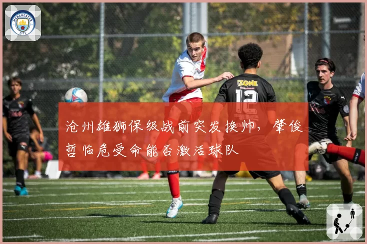 沧州雄狮保级战前突发换帅,肇俊哲临危受命能否激活球队
